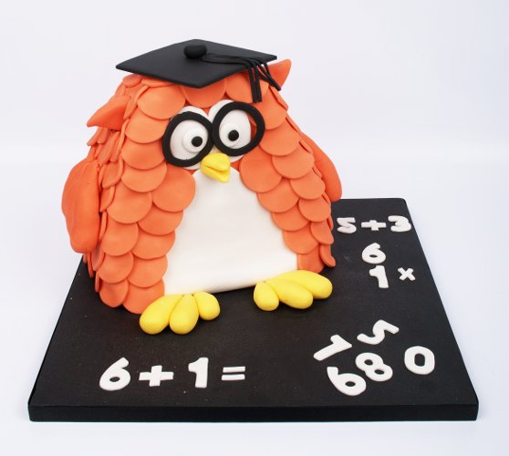 Graduation Owl