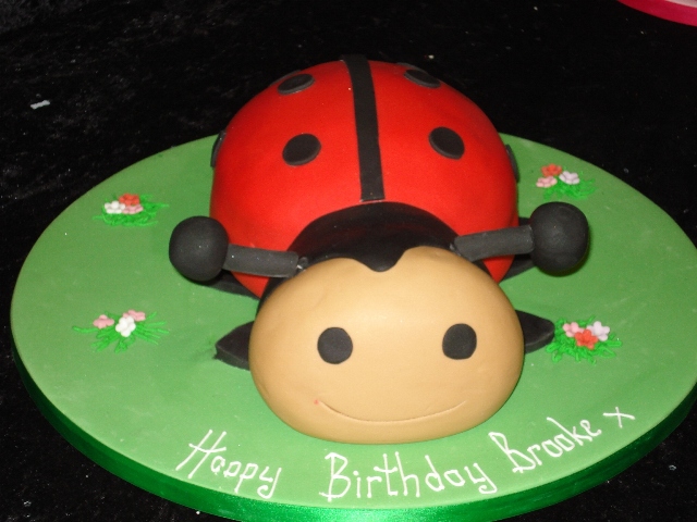 Ladybird